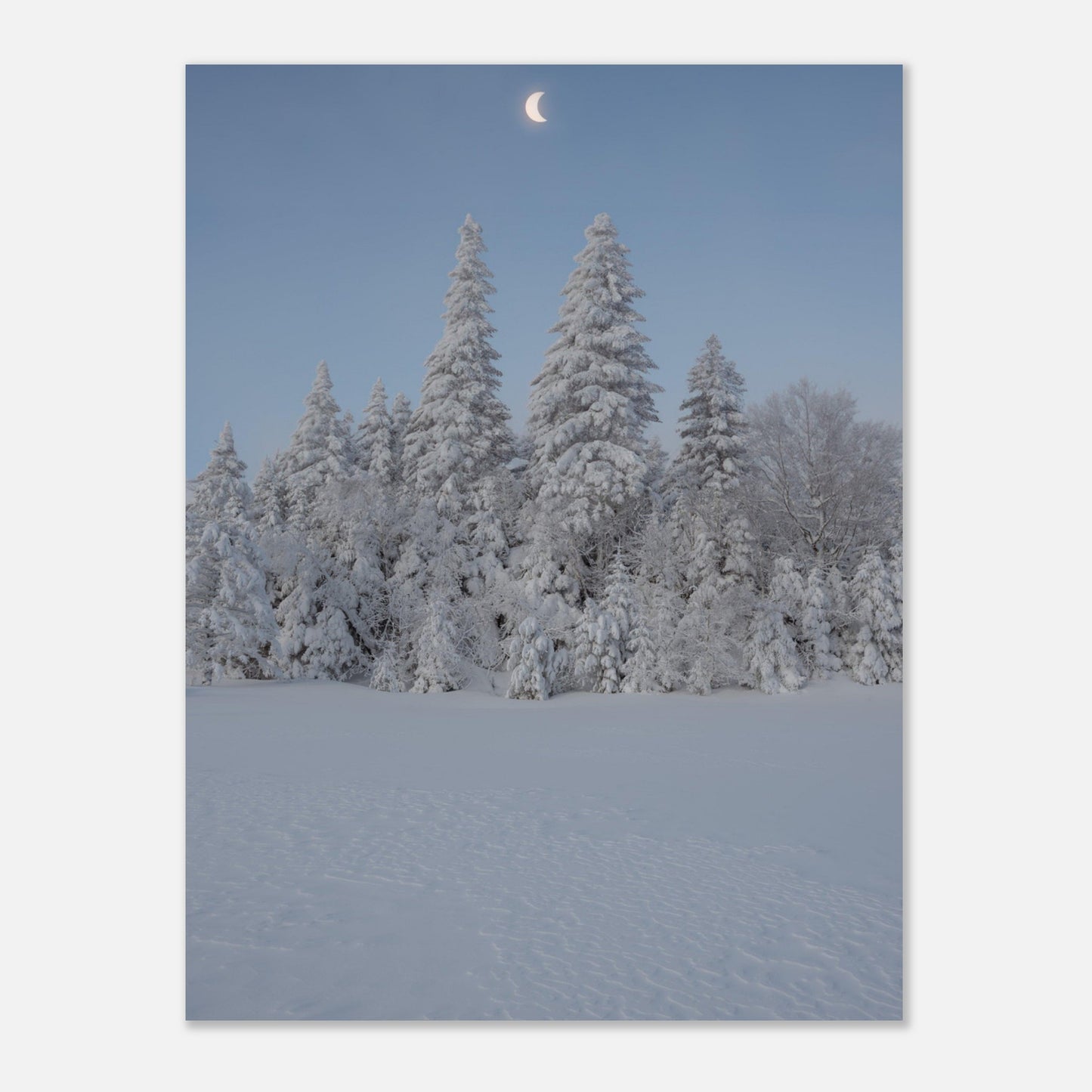 ad731b30-5b67-4024-bfd1-5bd959aedd38