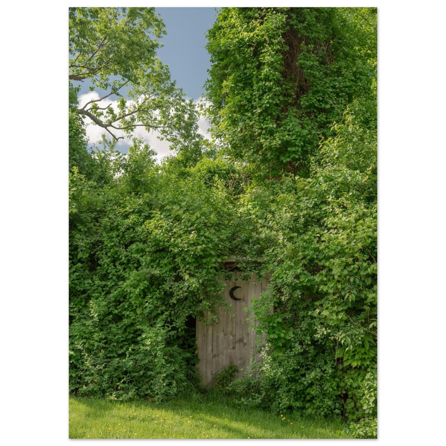 04ce05c4-d0f8-4787-8697-572b91a456d2