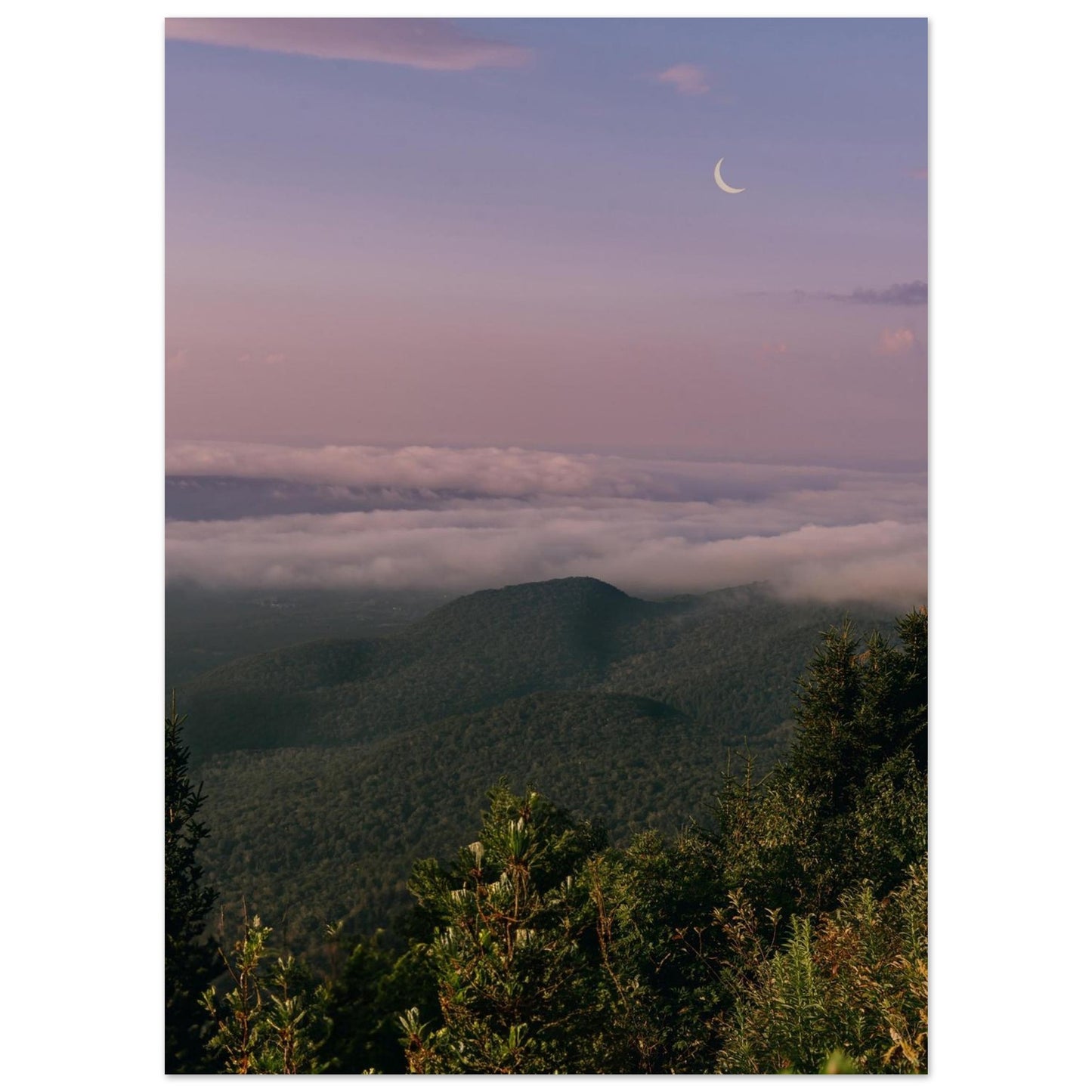 1293f7da-ca12-41a8-870e-361ab81ae810