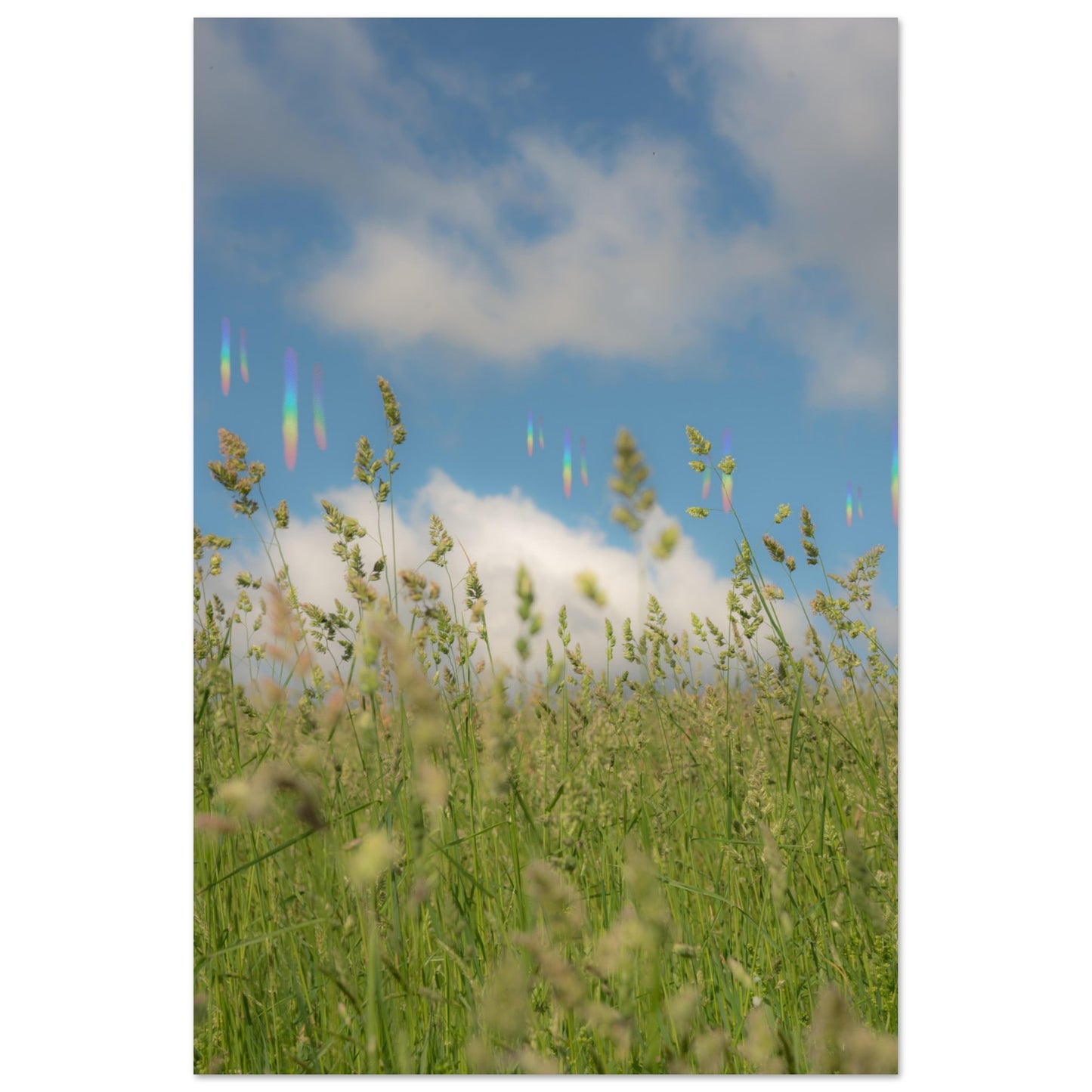 22f7188e-3893-4a78-bb4d-e4c9cd820bc8