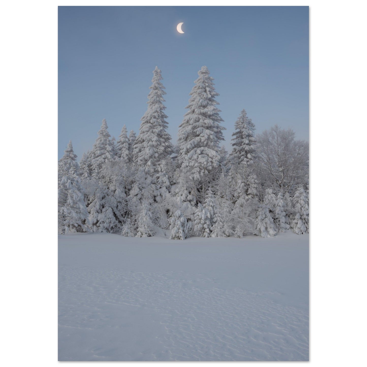 3a274dd7-7bb9-4b62-ba45-5232393e0ffe