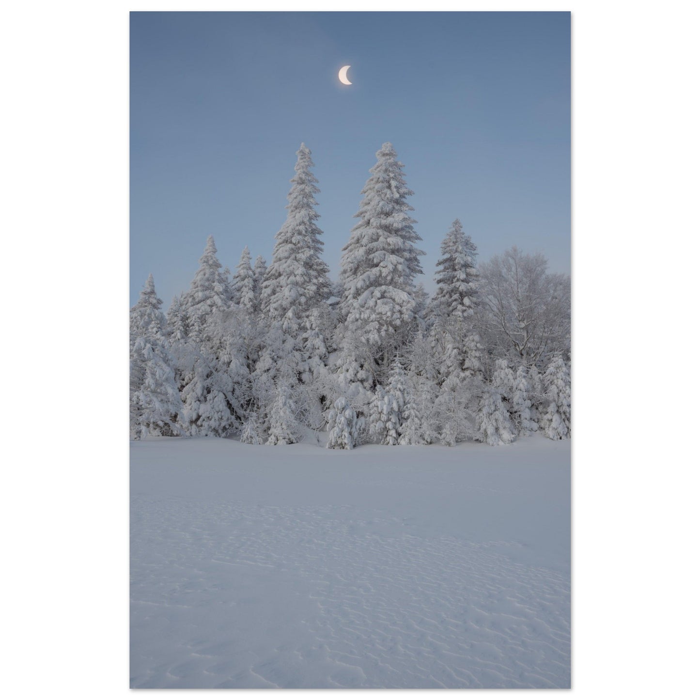 4bf0576d-297b-4ff0-b232-a2f142ae9992