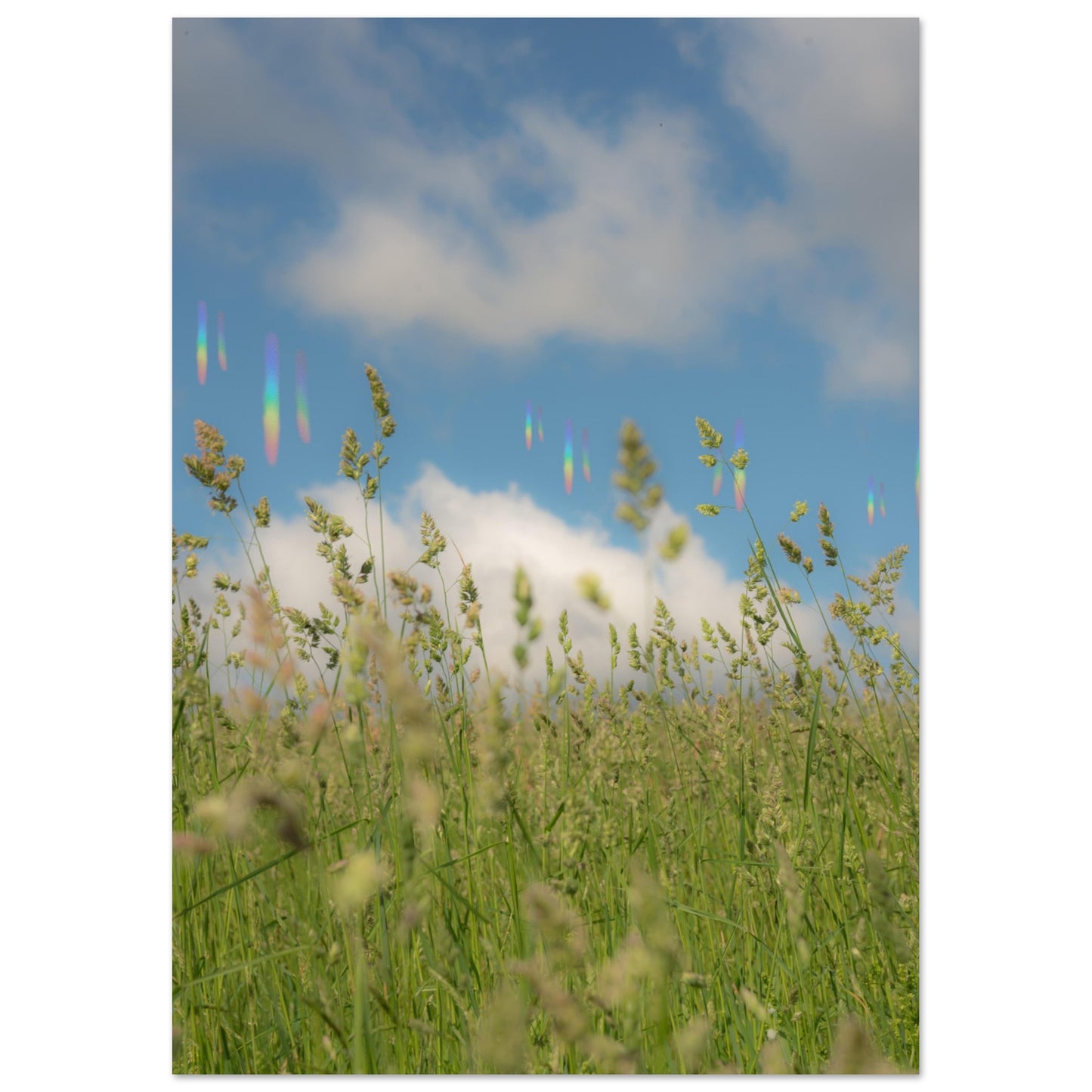 51715519-e6a7-4d3b-988d-ddf2c5cd6a50