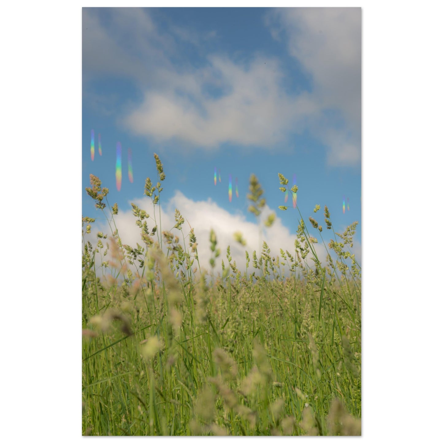 71875d21-57eb-47b1-8542-7976ea2742fb