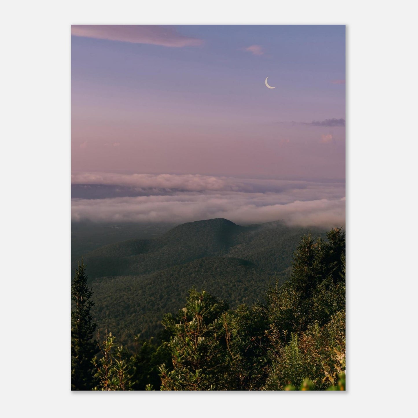 741a556b-f872-478f-9d24-bb7565487d82