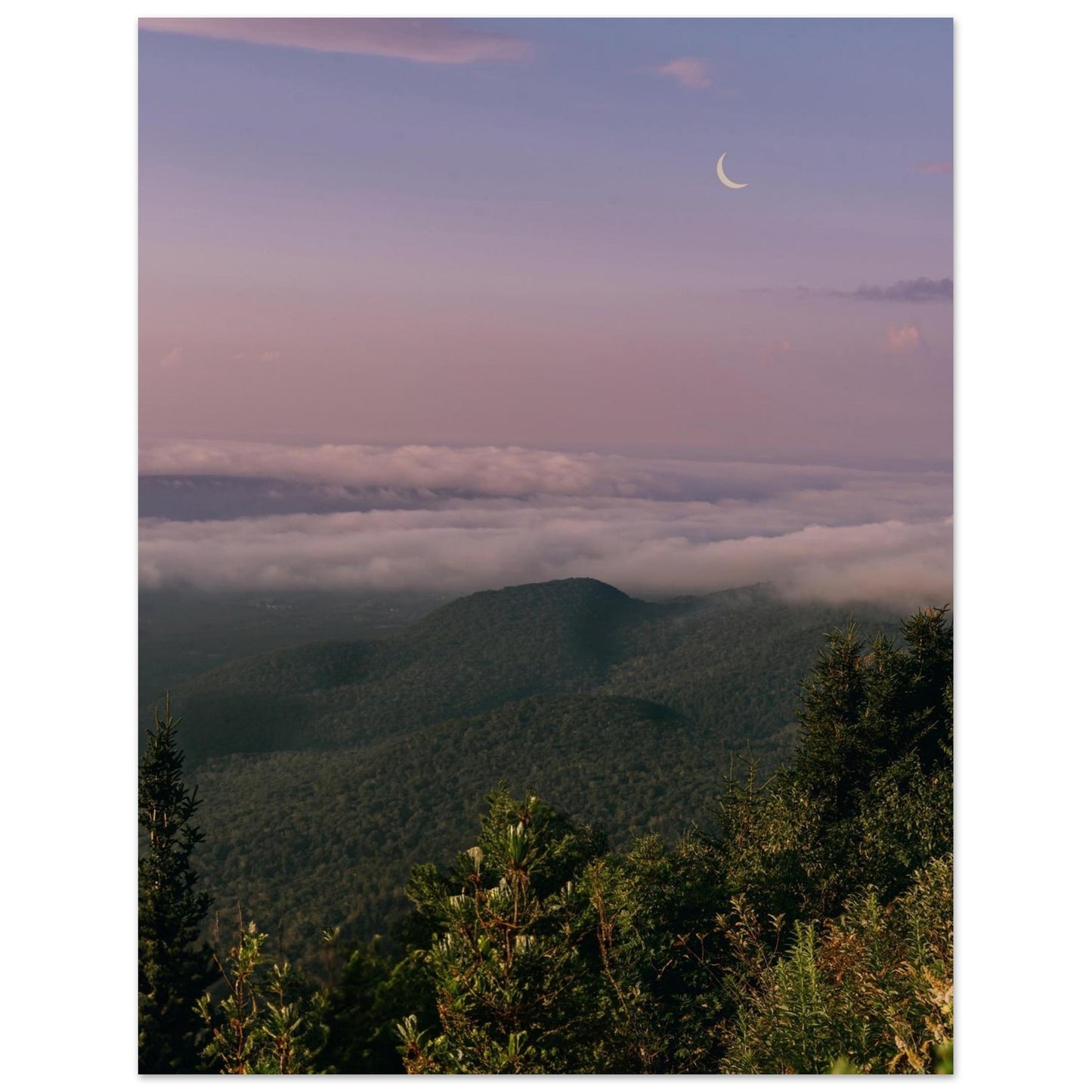 7577e97e-b7f3-4d66-a623-a5a89933fd73