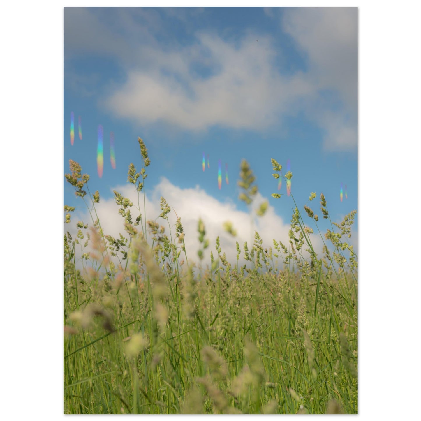 79069751-6bca-460e-834b-eccf1e747e95