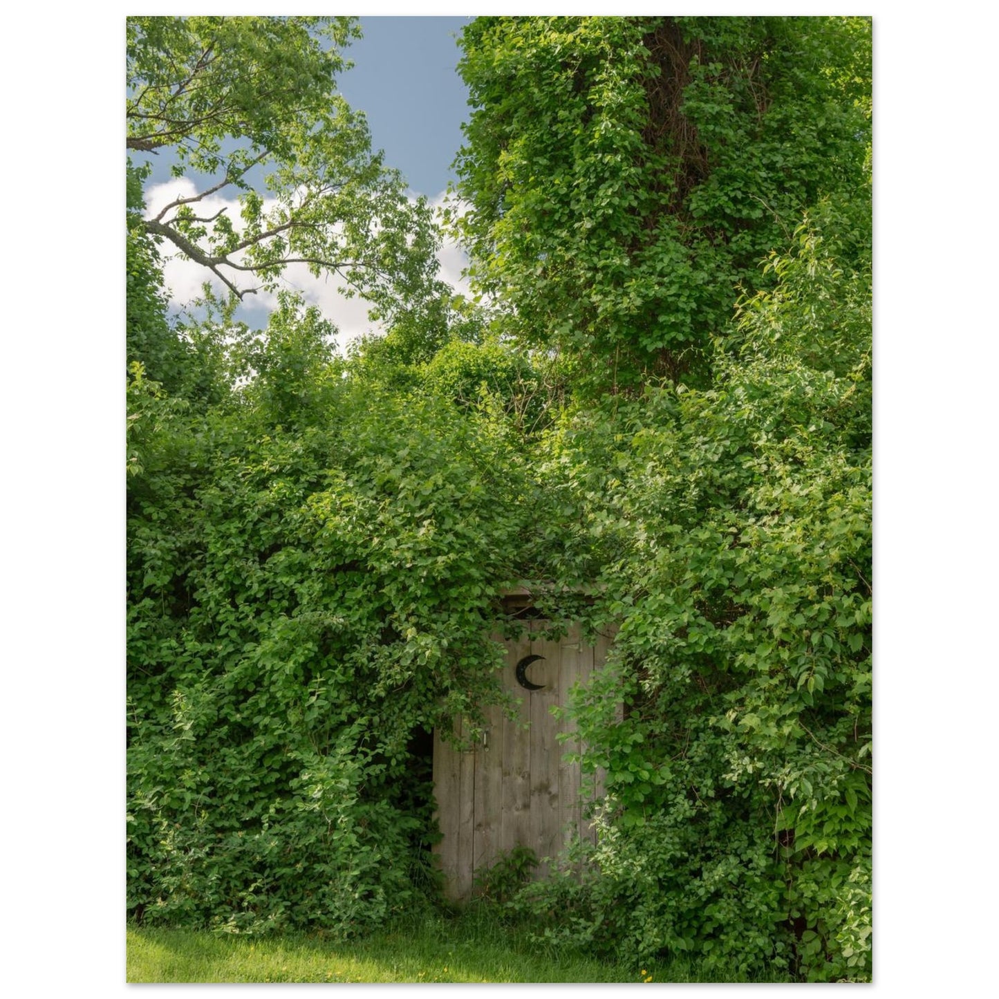 95acb305-6071-4c88-8f1f-580d921dfde3