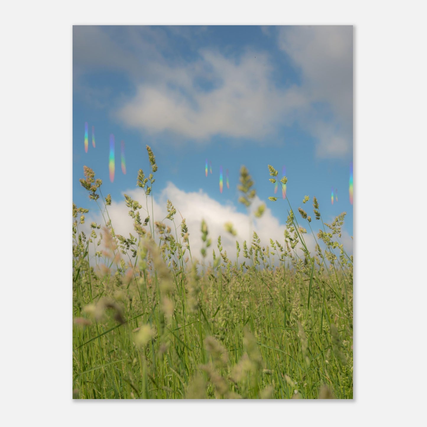 96466cc0-b379-4799-a58f-ea2e92909751