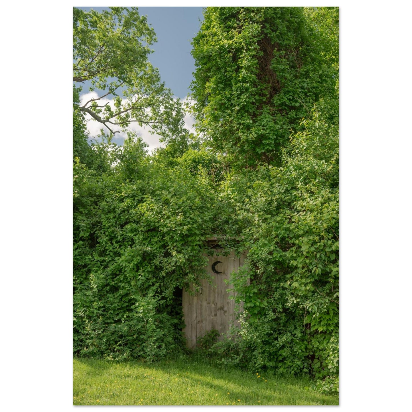 987b4ab7-3a01-48cf-a407-5a6facccd9a3