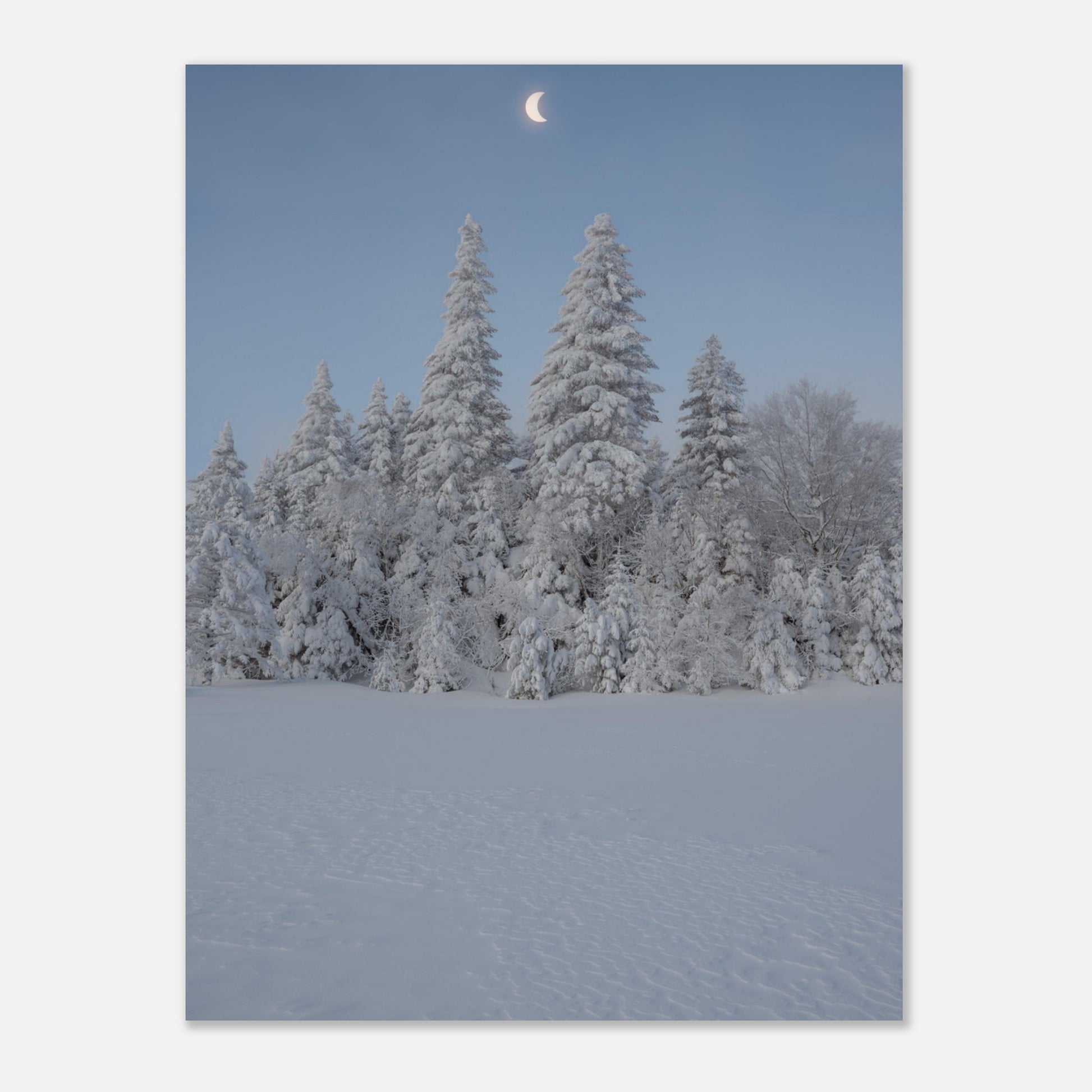 ad731b30-5b67-4024-bfd1-5bd959aedd38