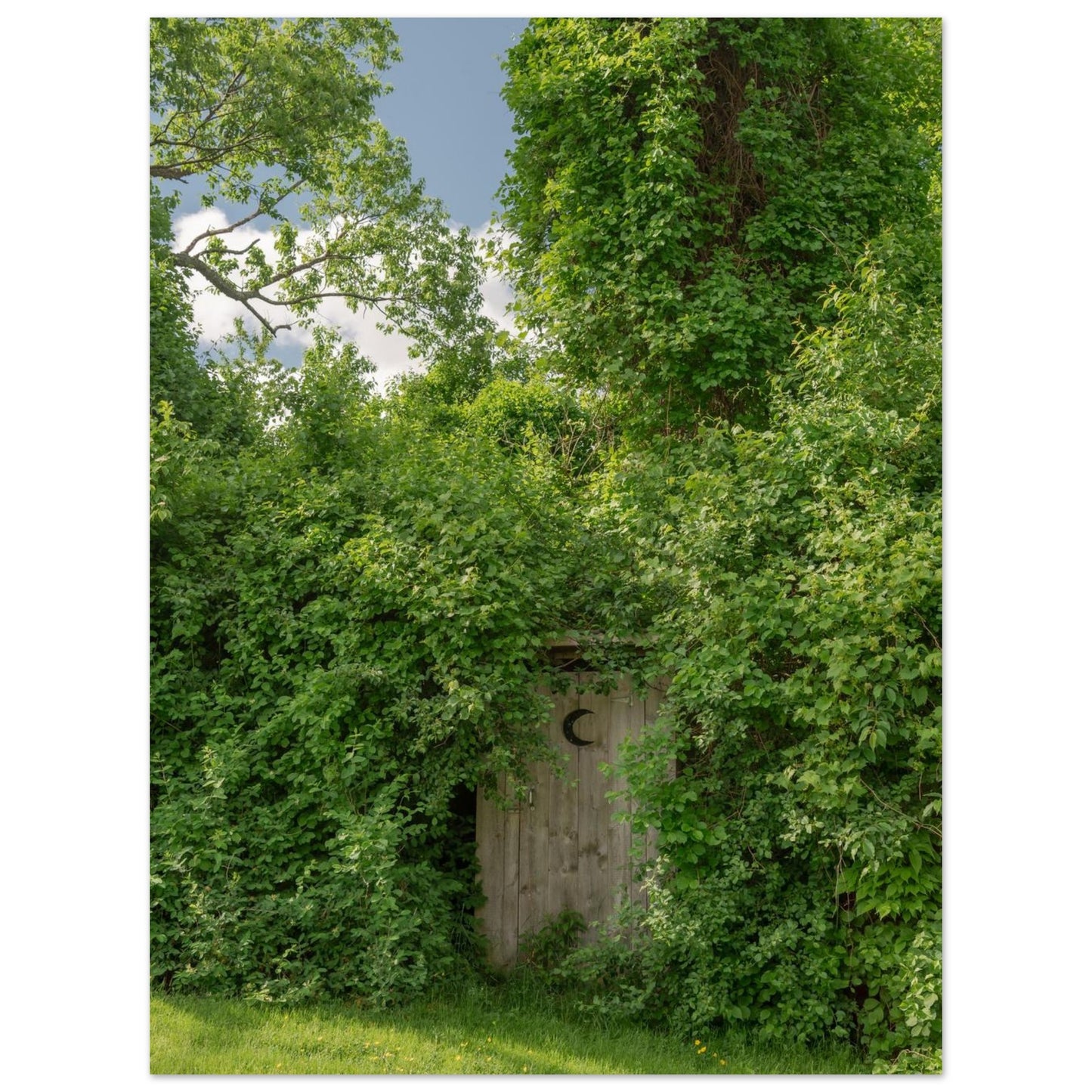 bf6f8c80-7e23-423e-9284-a2524c9d3767