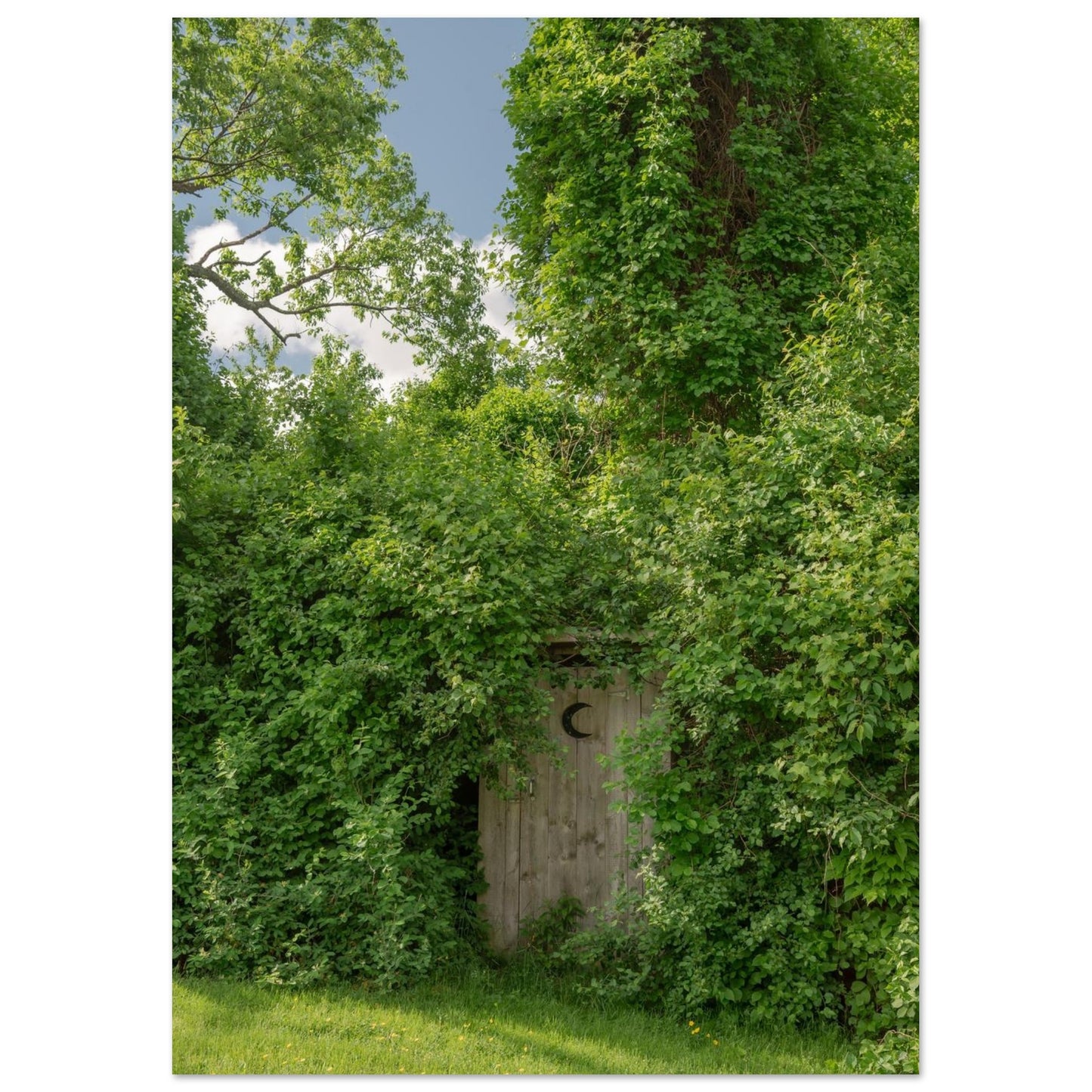 d0d56e6d-b798-4b34-bea9-424a3574ed9e