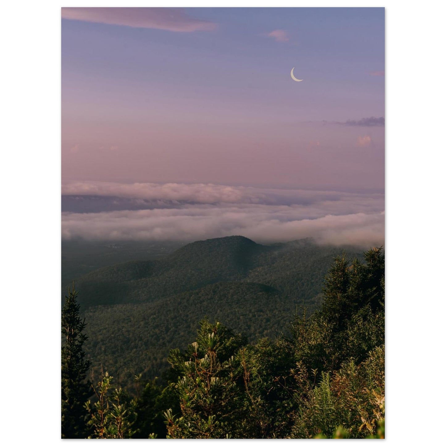 d6c029c0-76f7-4e93-ae94-641477f4083d