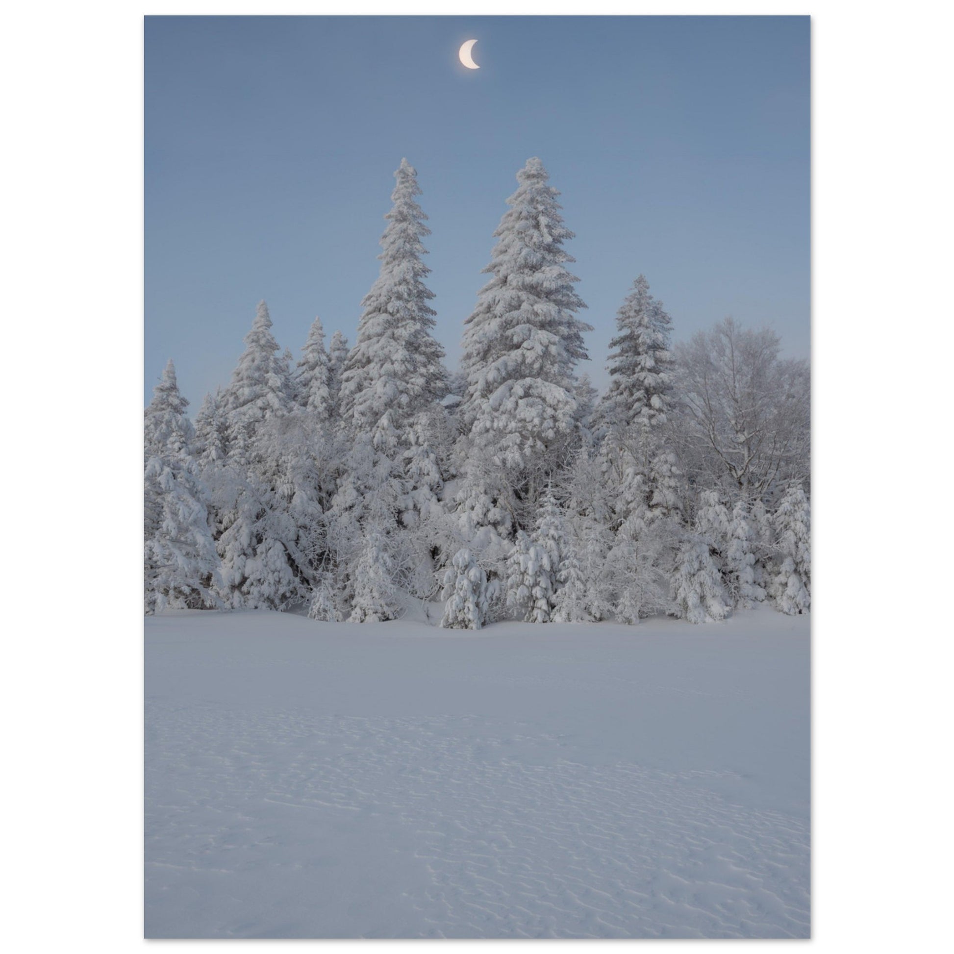 db84b5c1-cc8e-4f43-a501-20613d751d15