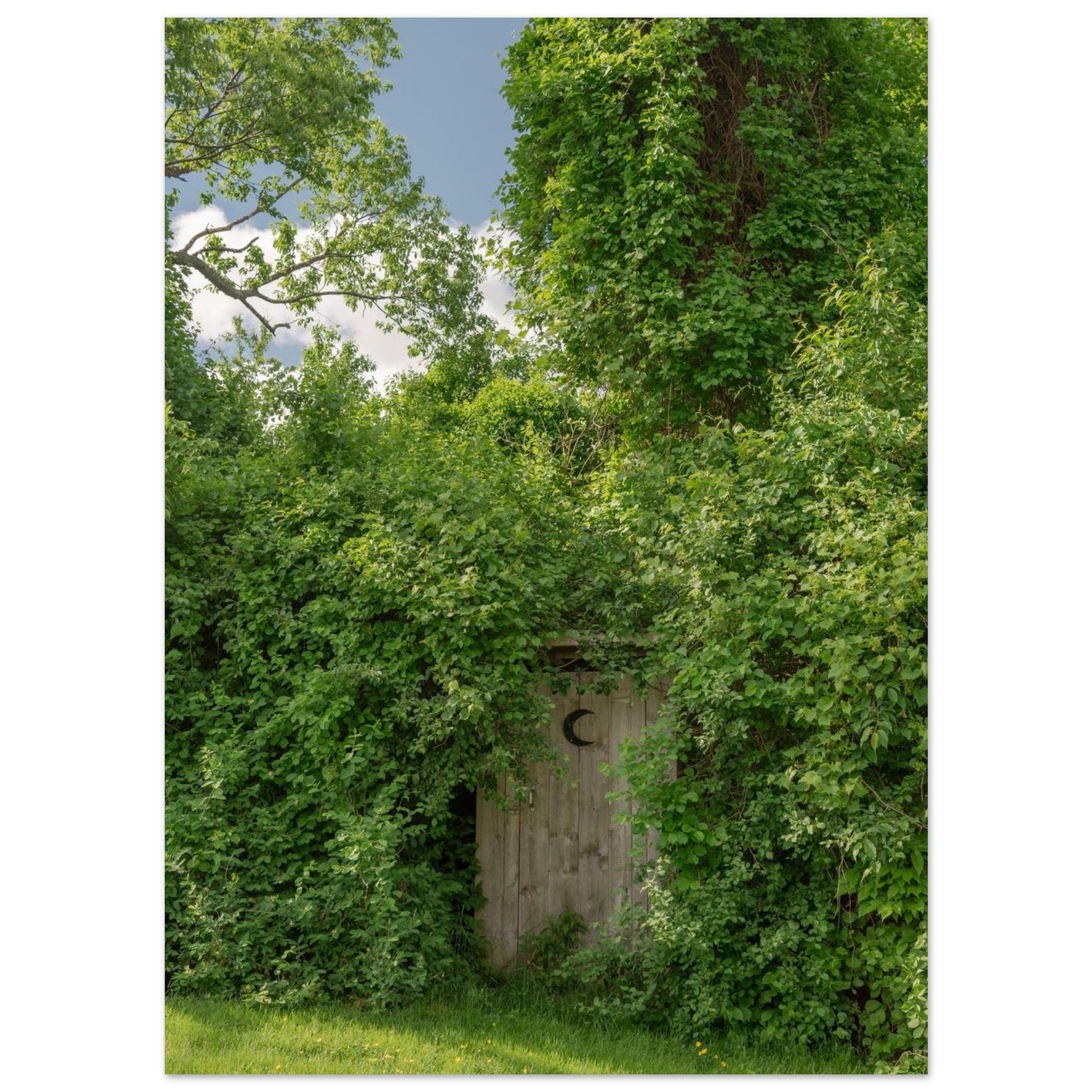 e42e3c2c-b1d4-4479-874c-4491e2584080