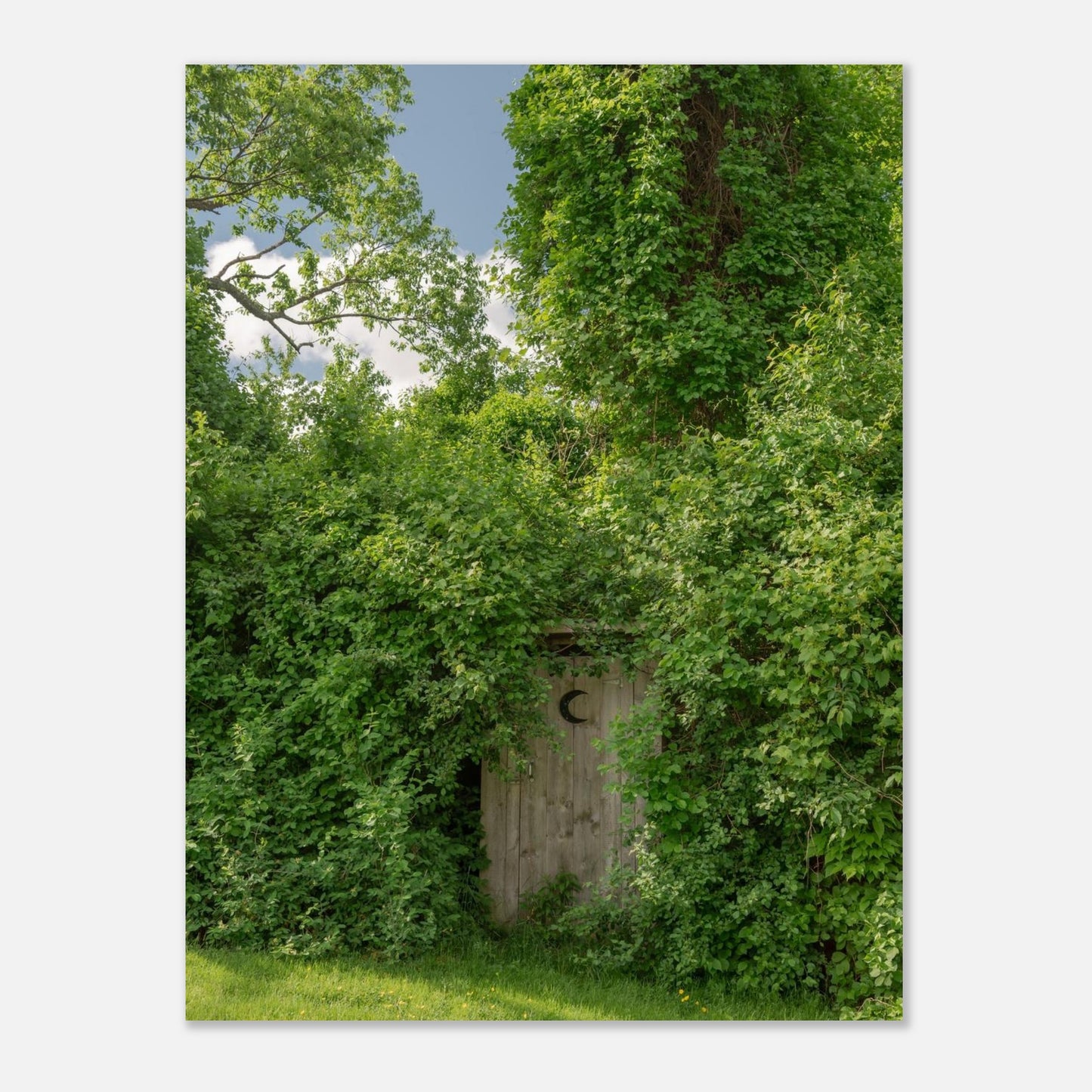 e6eb81d9-03fd-4e00-be89-a31d1de603e7