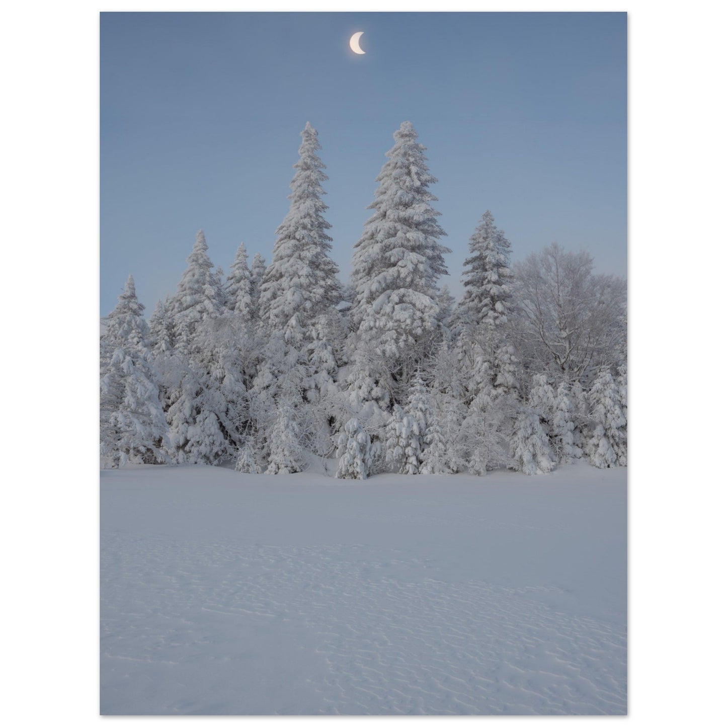 edee6bf3-c0d9-465d-97ec-2f5339616039